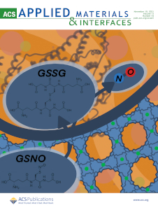 Applied materials and interfaces Journal Cover image